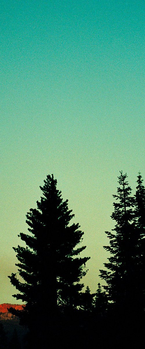 Yosemite Red by Gary Moger