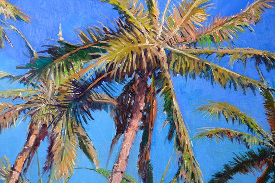Coconut Palm Trees