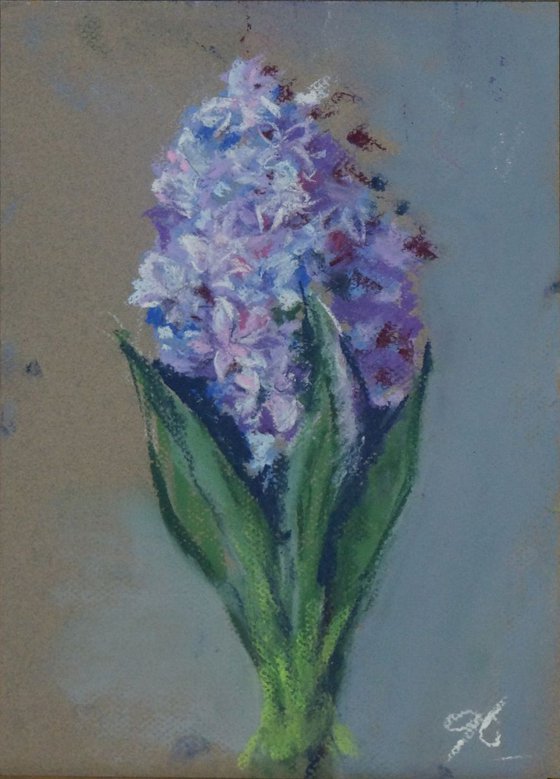 Hyacinths