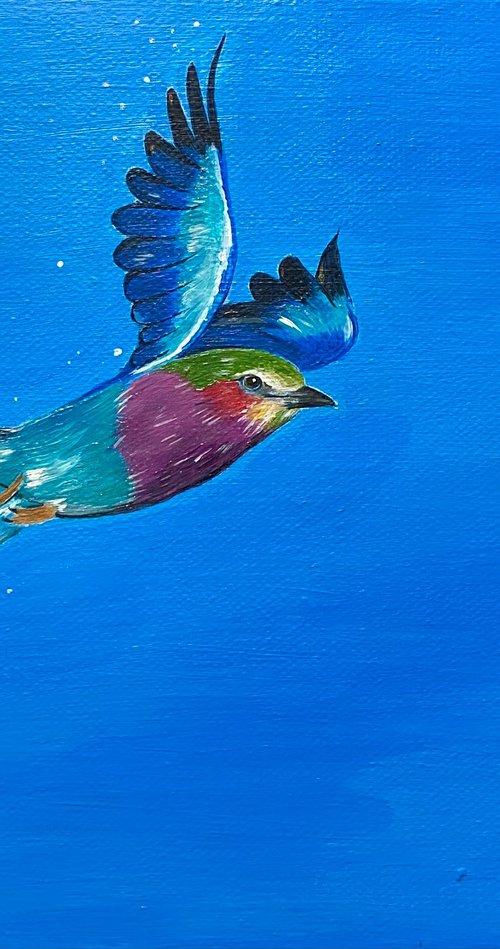 Lilac breasted roller in flight painting by Bethany Taylor