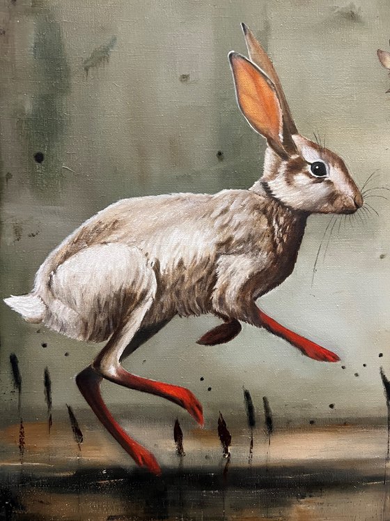 "Mad Rabbits"