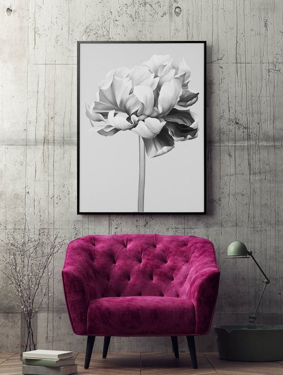 "Black and white peony" Black white flowers