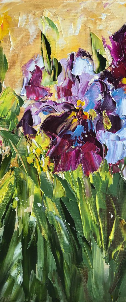 Iris by Diana Malivani