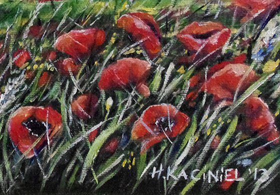 " Summer Poppies "