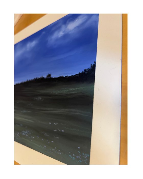 Wiese in der blauen Stunde