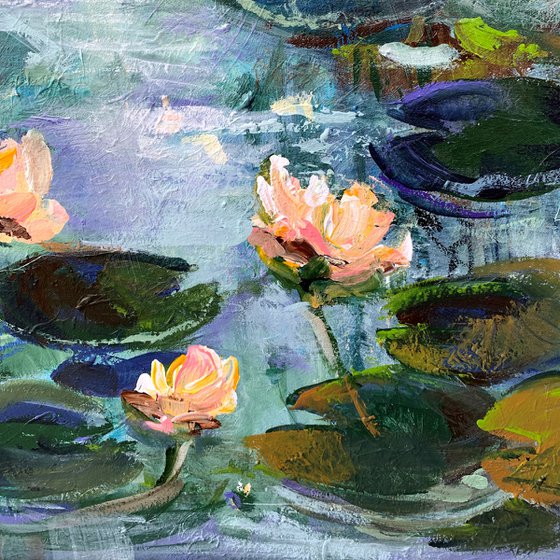 Lily pond