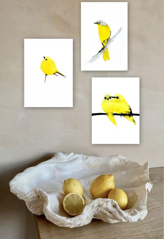 Birds