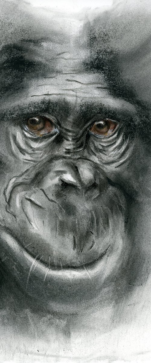 Monkey by Olga Tchefranov (Shefranov)