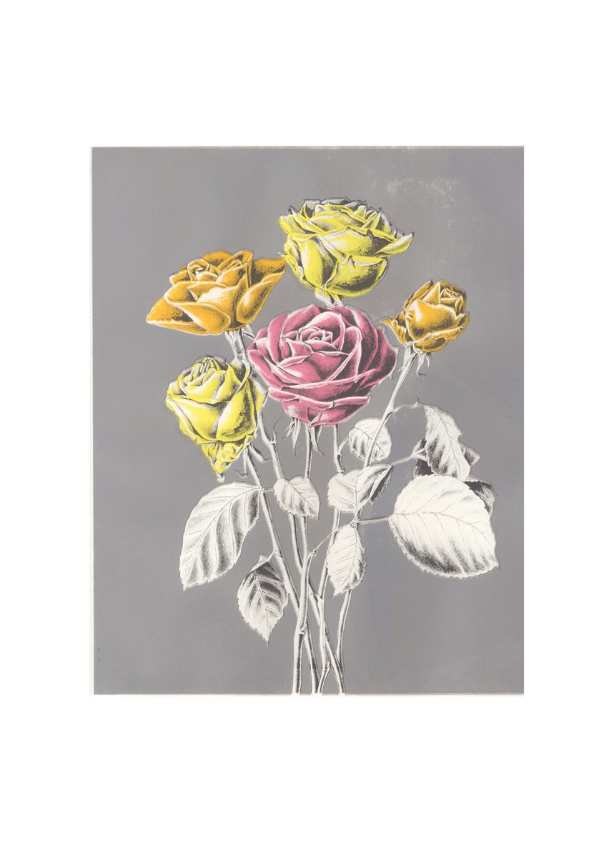 Illustrative Botanical Screenprint By Louise Boulton, 17 X 23", Roses, Original Artwork