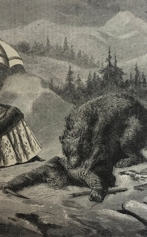 Bear Food by Tudor Evans