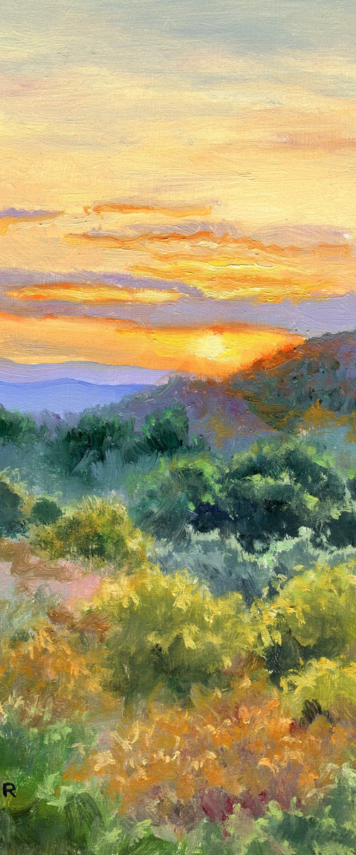 'Yesterday afternoon's walk' by Lucia Verdejo