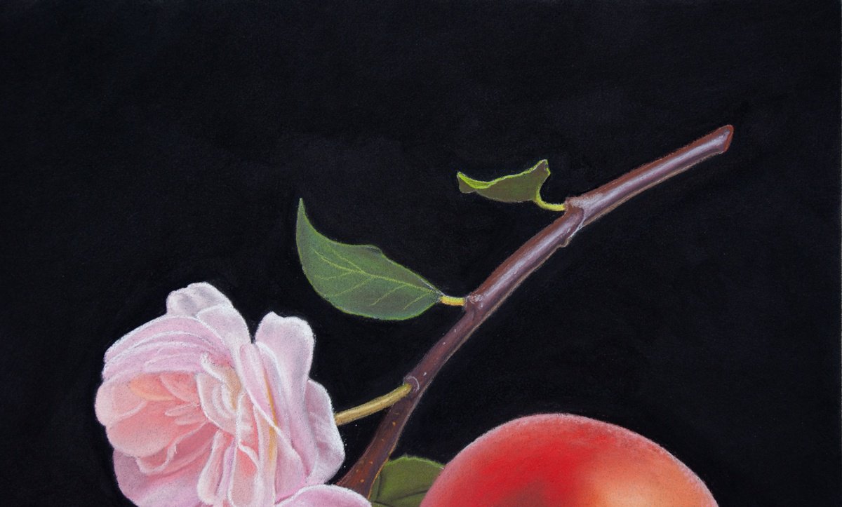 Blossoms and Peach by Dietrich Moravec