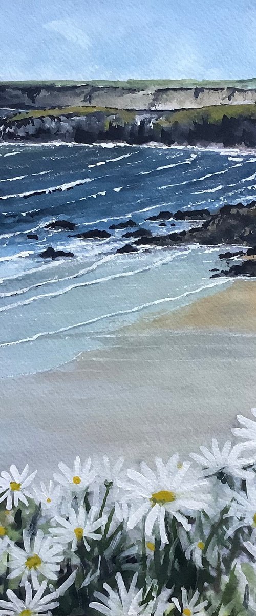 Cornish coast by Darren Carey