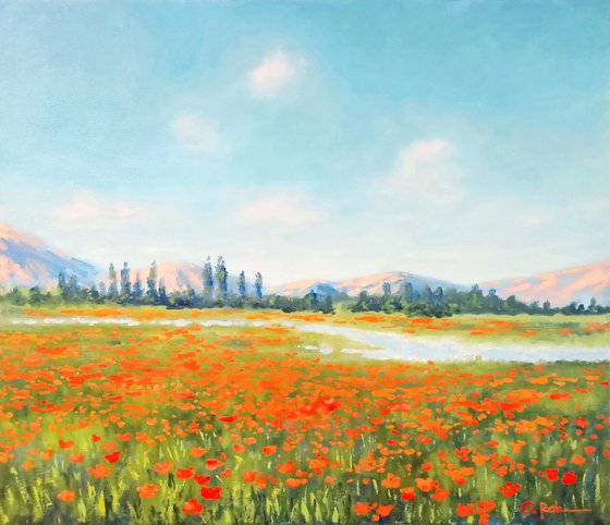 Poppy field in the valley
