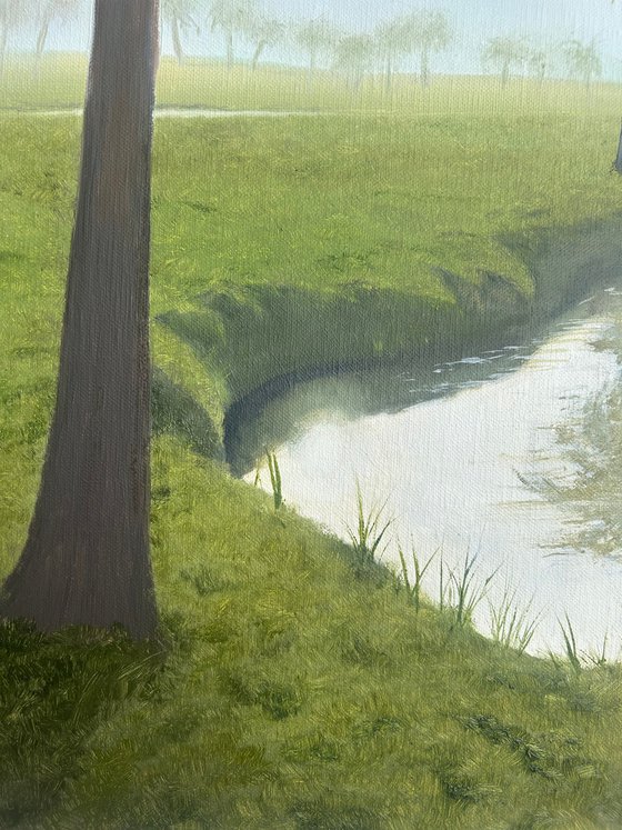 River of Quiet Palms