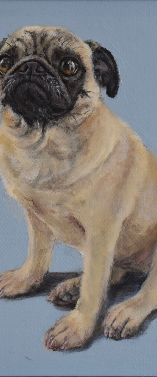 Pug by Rosie Mark