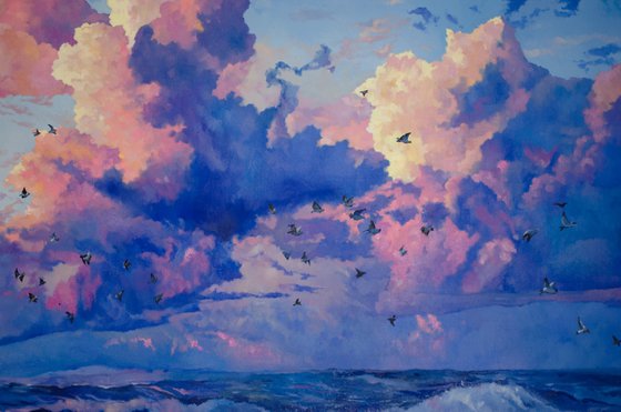 Gulls
