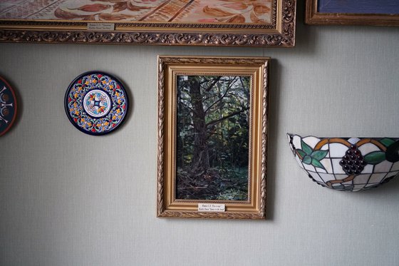 Forest. Fir-tree. Karmanovo