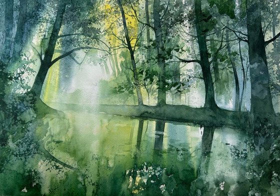Bright summer morning