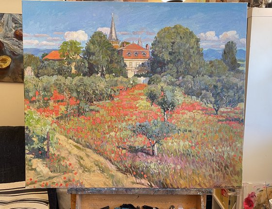 Poppy field near the old estate