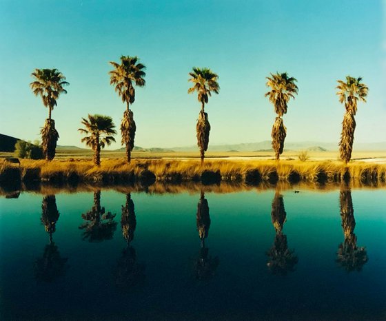 Zzyzx Resort Pool II, Soda Dry Lake, California