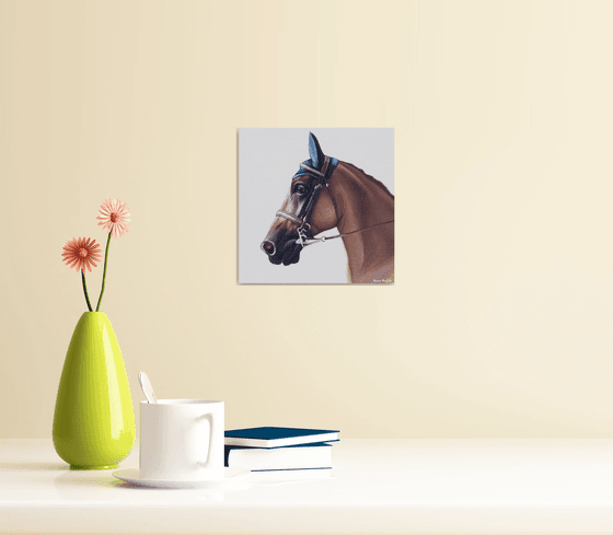 Horse Portrait 14