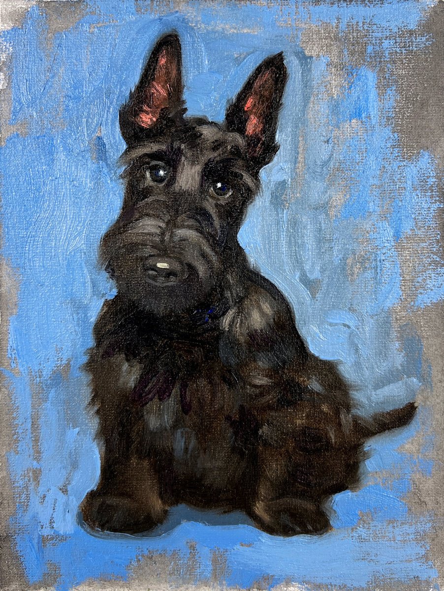Scottie dog by Elina Arbidane