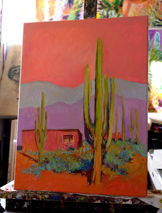 Pink House and Saguaros