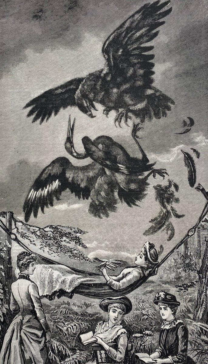 Surrealistic Portrait Collage By Tudor Evans, 7 X 11", Enjoying The Countryside, Original Artwork