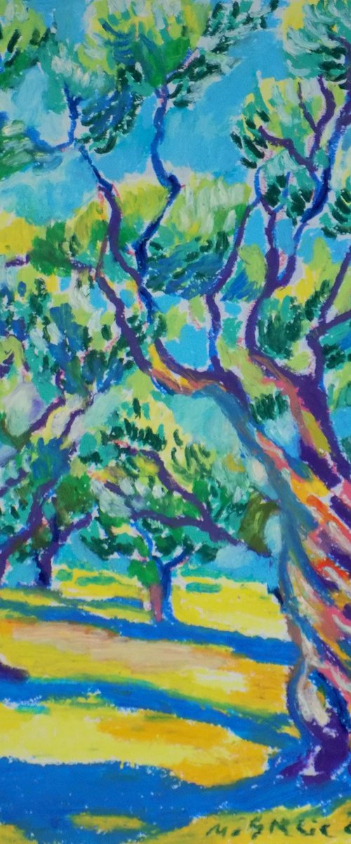 Old olive orchard XVII by Maja Grecic