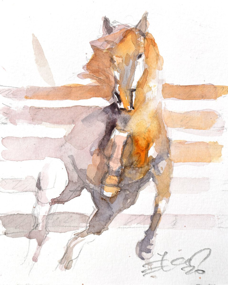 Prancing horse  in orange - small one by Goran Zigolic Watercolors