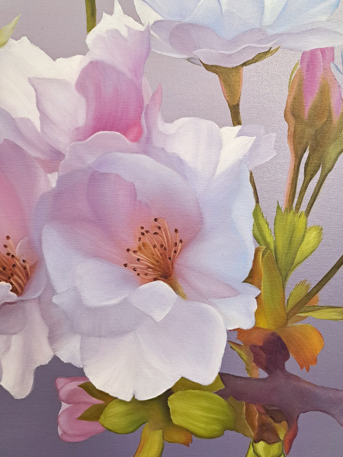 46㎝角「櫻2024」油彩・原画・S8 Original Oil Painting - 