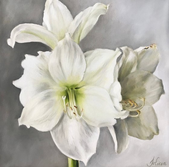 Oil painting with white flowers 30*30 cm