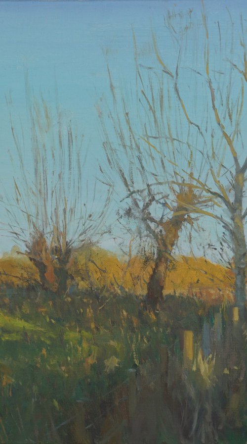 Autumn, Back Lane, Ducklington by Alex James Long