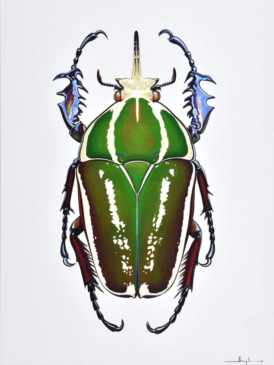 Flower Beetle #2 by Alex Nizovsky