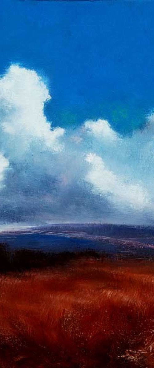 The Windswept Field by John O'Grady
