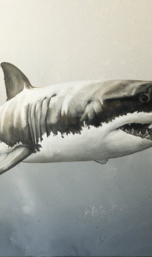 Great White Shark by Lisa Braun