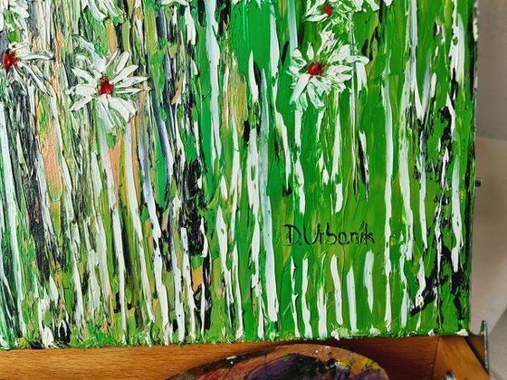 Daisies In The Grass