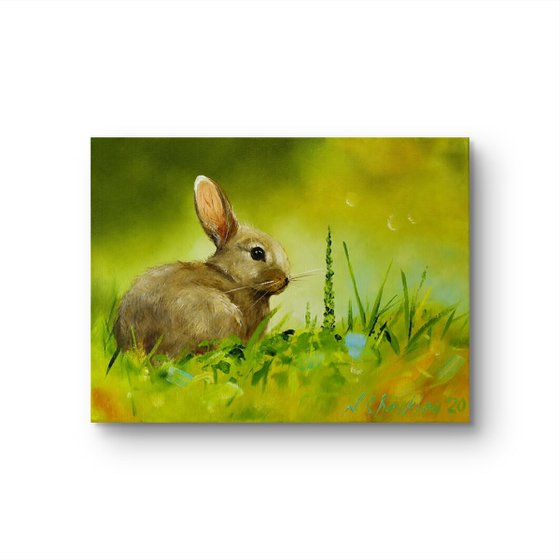 Rabbit