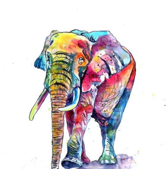 Happy colourful elephant