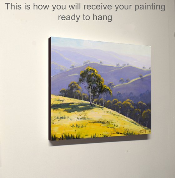 Afternoon light Lithgow