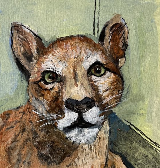 Puma