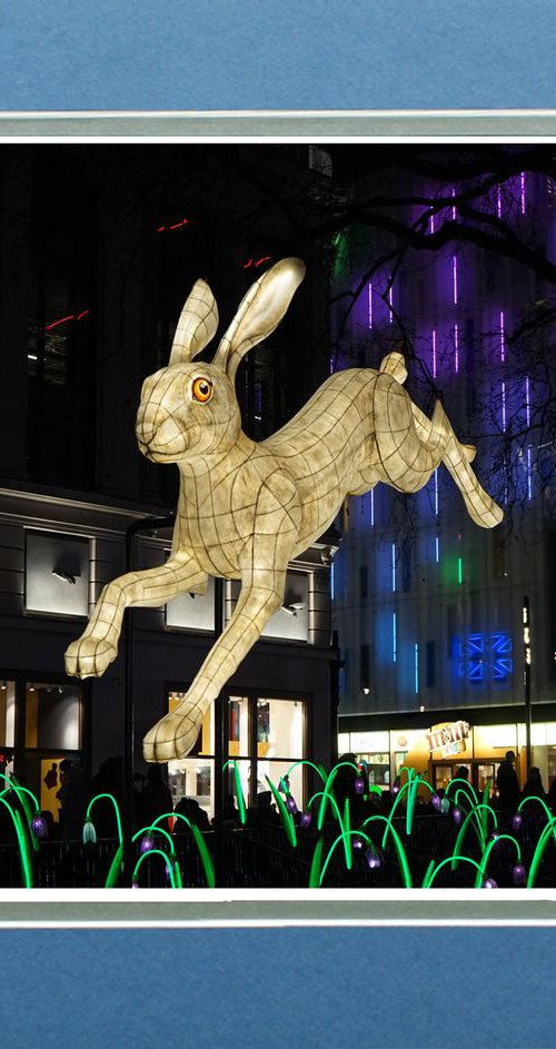 Lumiere London Hare by Robin Clarke