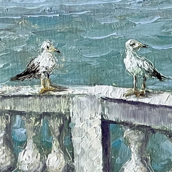 Venice Lagoon Seagulls Terrace