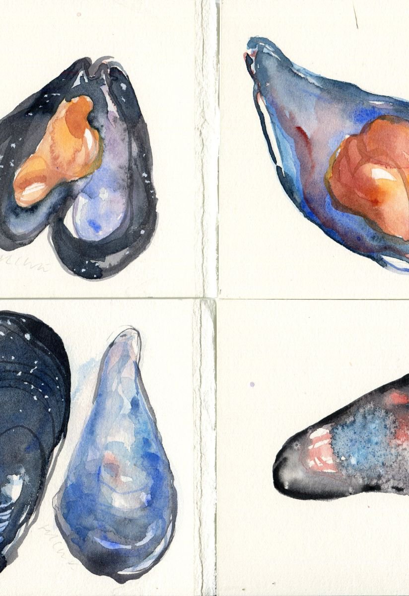 Set of 4 Mussels Original Watercolour Paintings by Hannah Clark