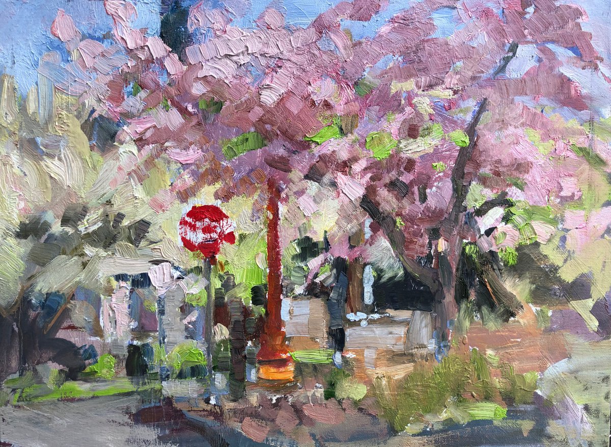 Cherry blossoms by the road by Olga Bolgar