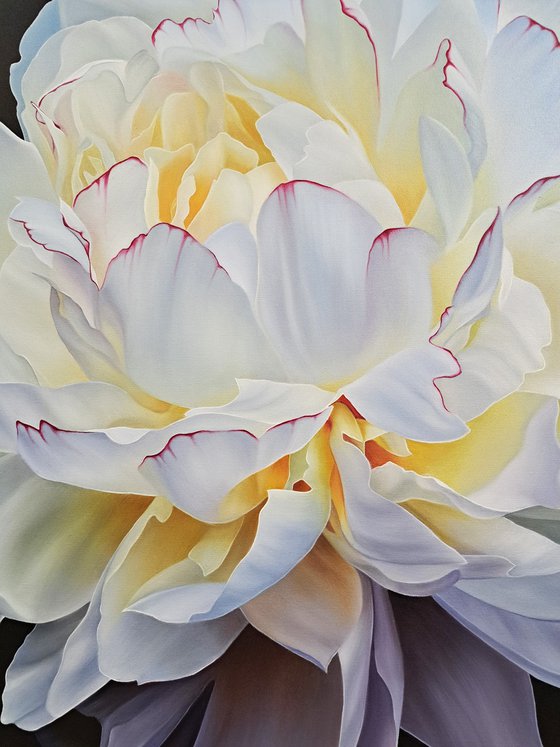 Scent of white peony