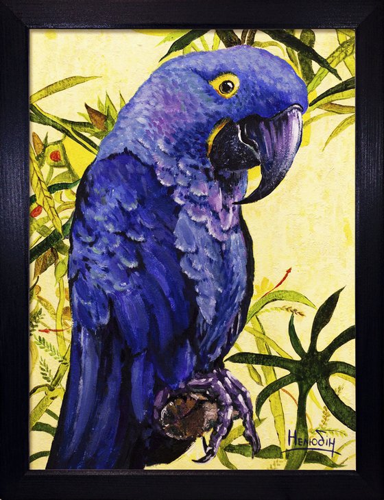 Blue parrot