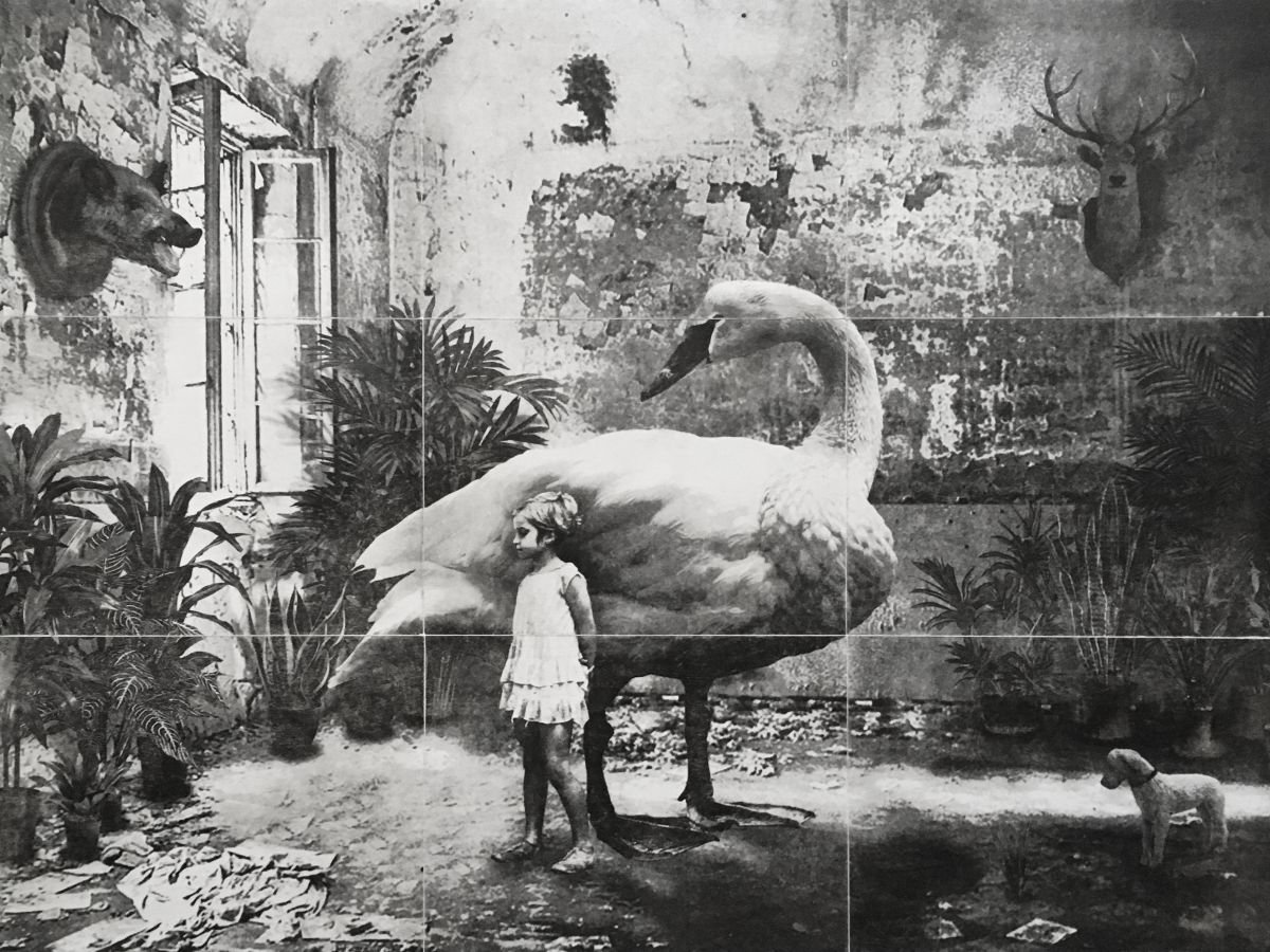 Animal Etchings & Engravings By Jaco Putker, 33 X 24, Interior No.32 - Large, Original Artwork