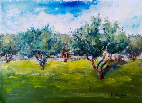 Olive trees by Kristina Valić